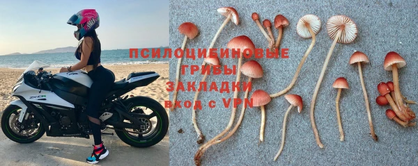 PSILOCYBIN Иннополис