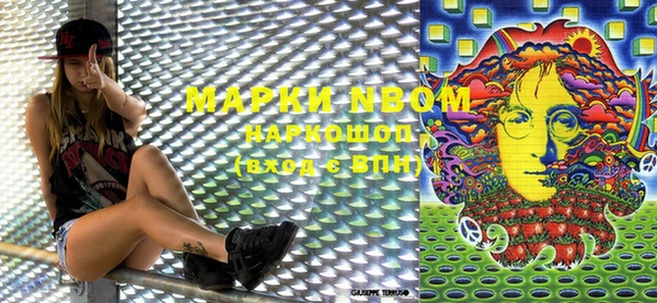 PSILOCYBIN Иннополис