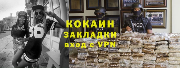 ALPHA PVP Инта