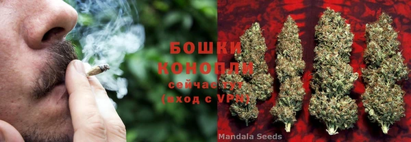трава Инсар