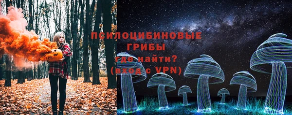 PSILOCYBIN Иннополис