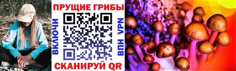 Галлюциногенные грибы мицелий  нарко площадка телеграм  Карабулак 