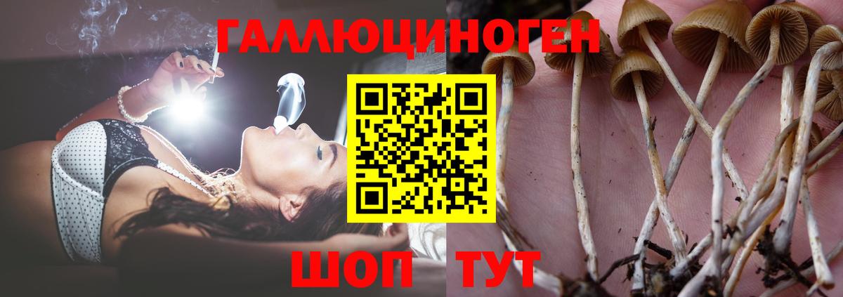 Карабулак  Галлюциногенные грибы мухоморы  Вход с VPN 