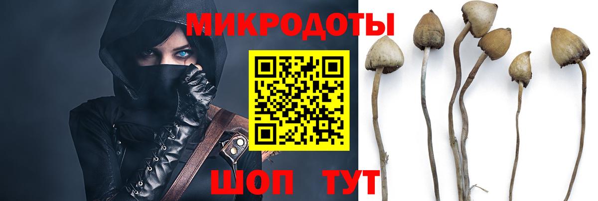 Псилоцибиновые грибы ЛСД Карабулак